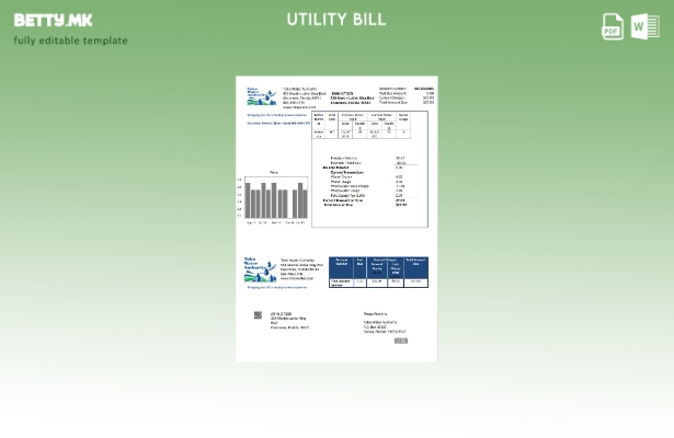 Модерен стил шаблон за комунални сметки на Управата за вода во САД Флорида Тохо